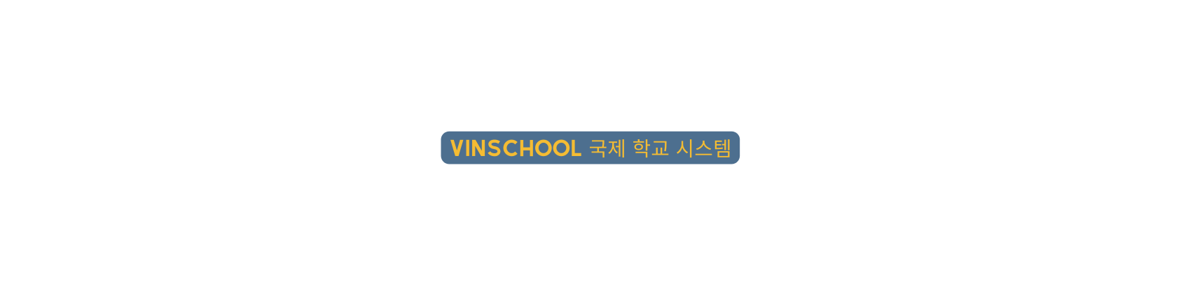 Vinschool 국제 학교 시스템